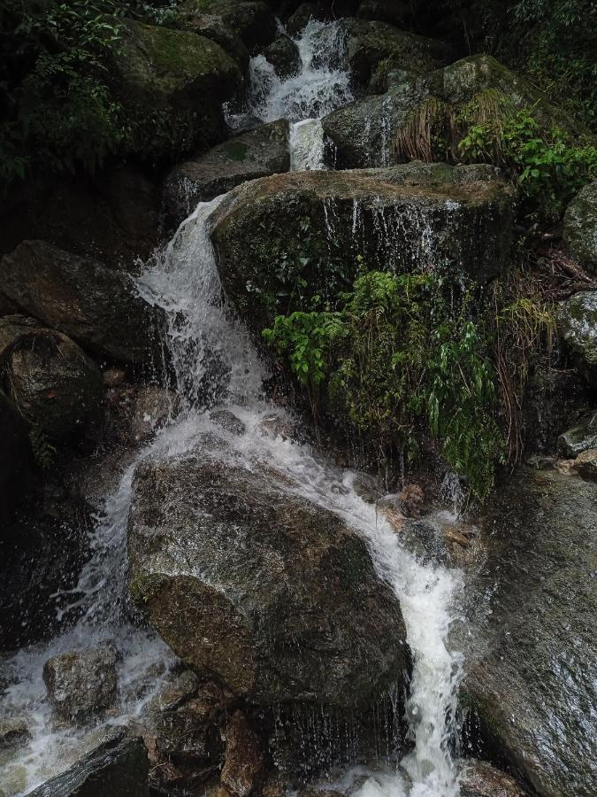 Alpine And फार्म स्टे