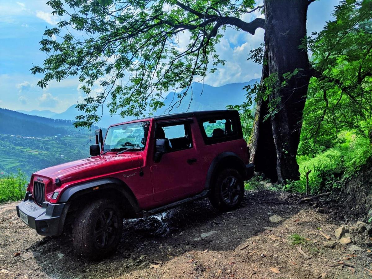 Alpine And Farm stay