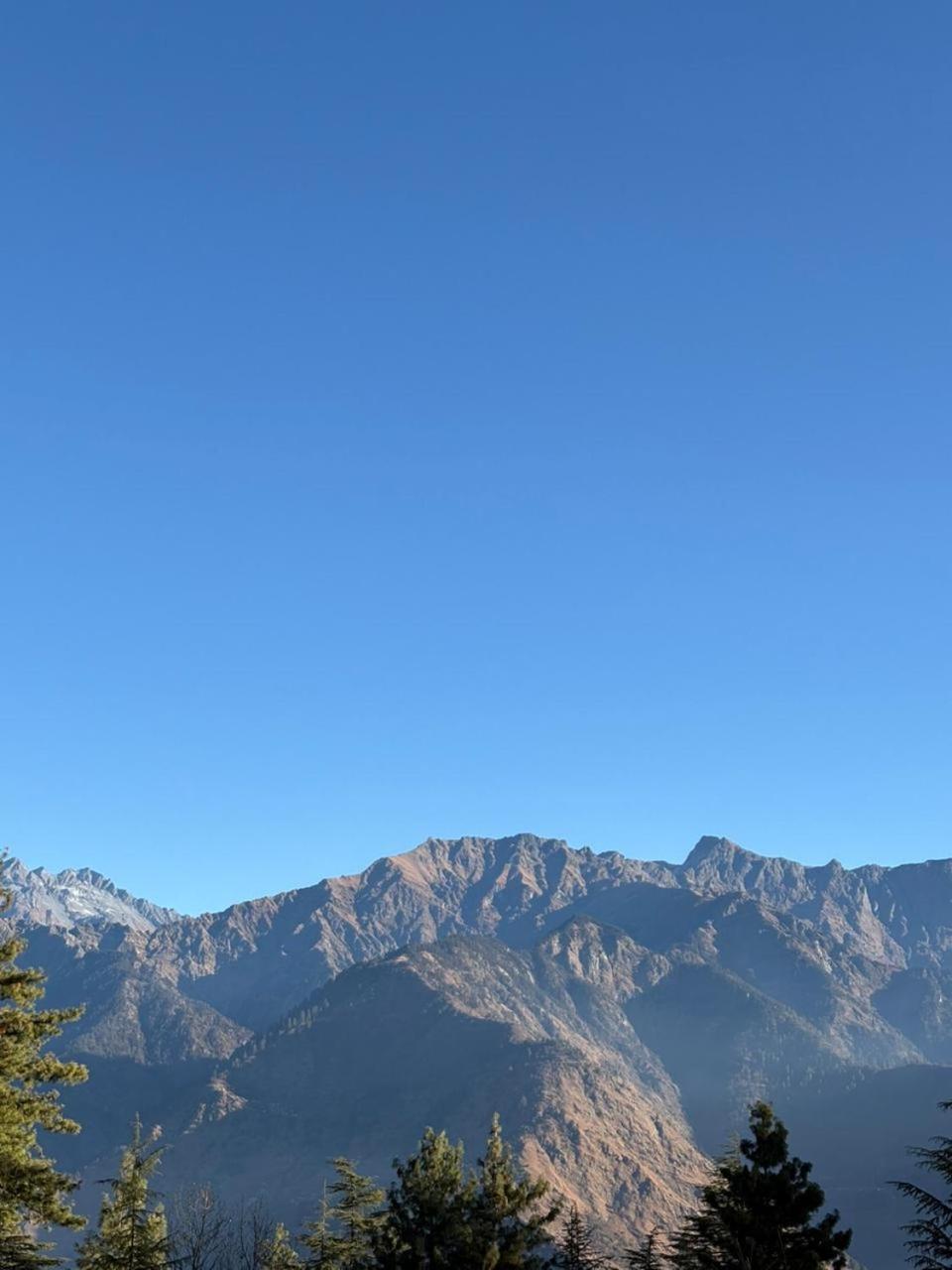 Alpine And Farm stay